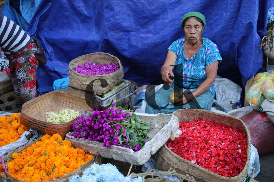 Petali e Colori